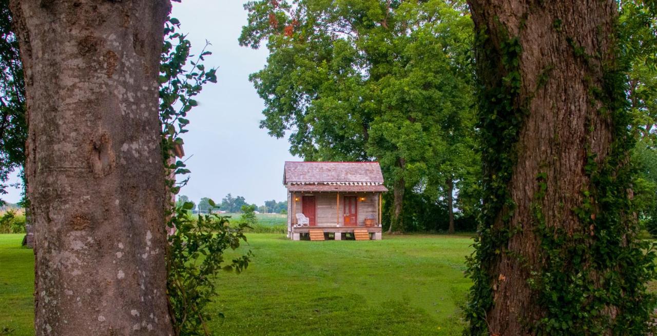 Belmont Plantation, Est 1857 Bed and Breakfast Greenville Εξωτερικό φωτογραφία